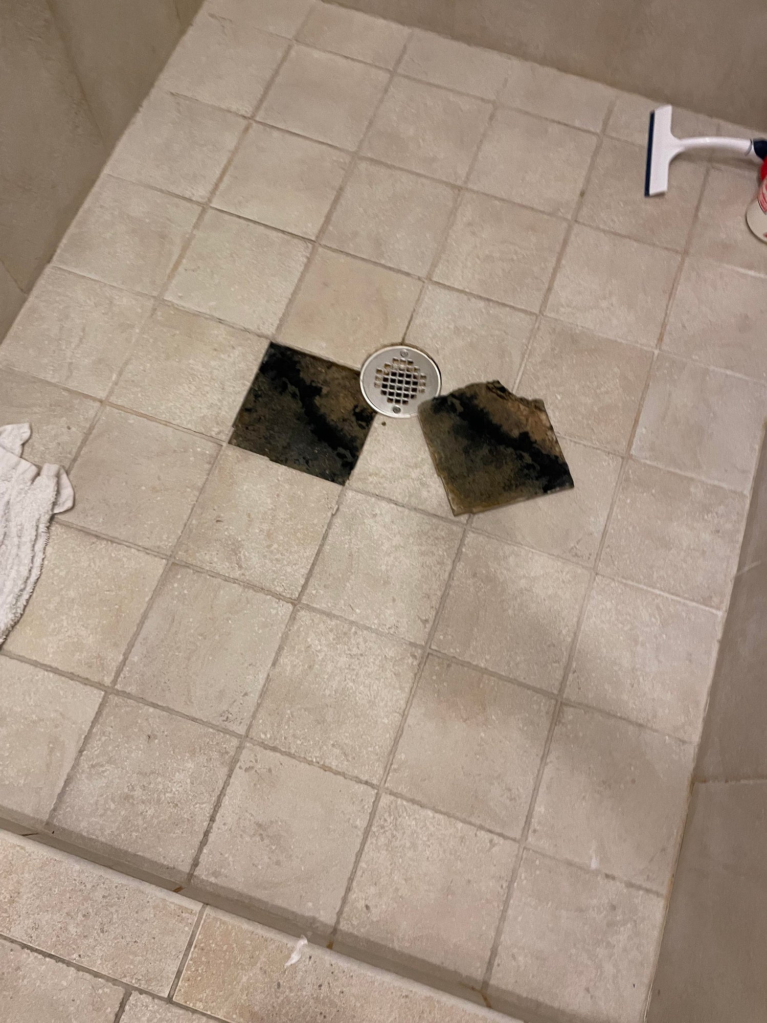 Tile Repair